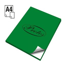Etykieta samoprzylepna A4 zielony [mm:] 210x297 Protos